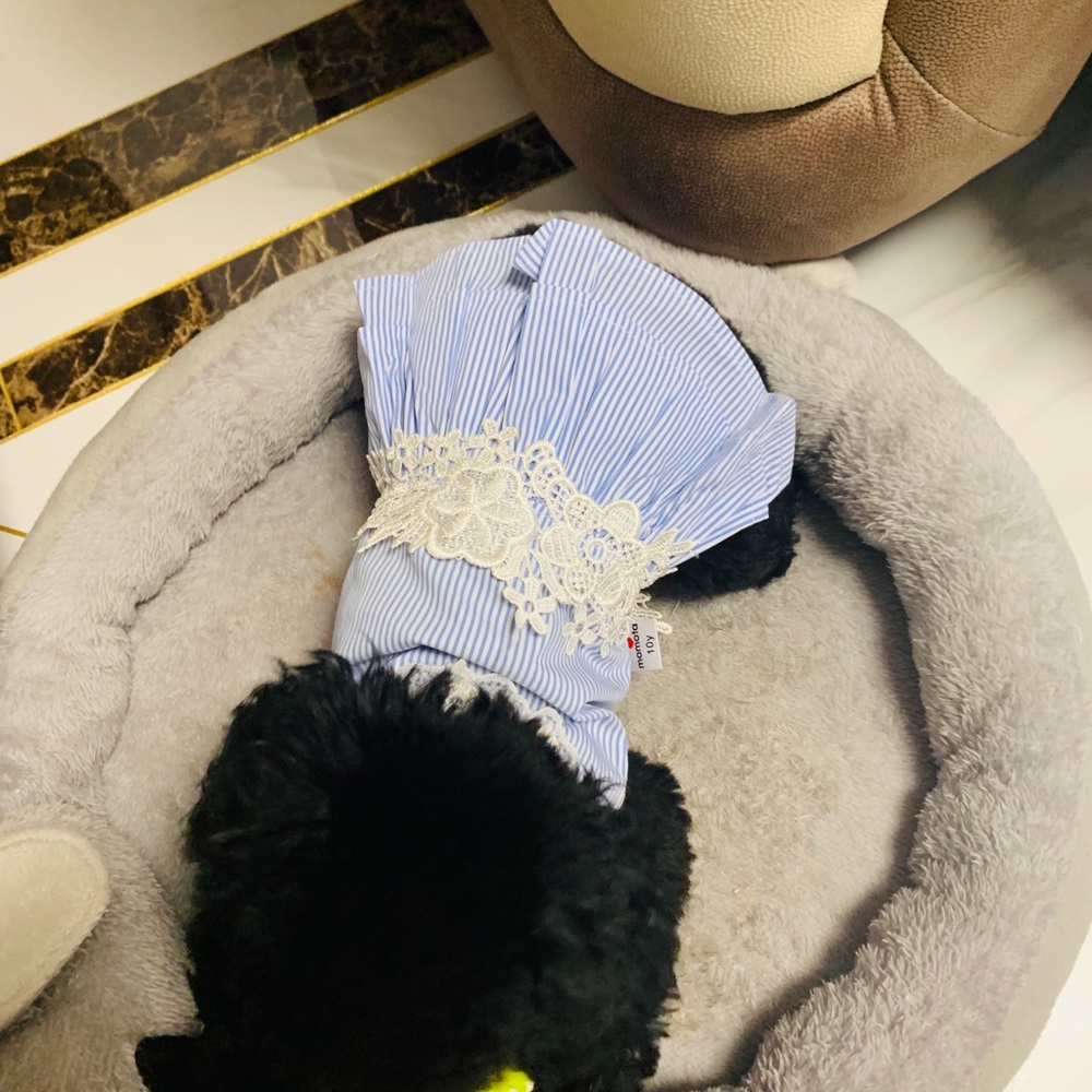 Pet dresses set - Picture 4 of 4